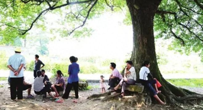 45岁大姐风度犹存相亲大叔大姐提出三个央浼。大叔：好走不送！bd半岛体育(图7)