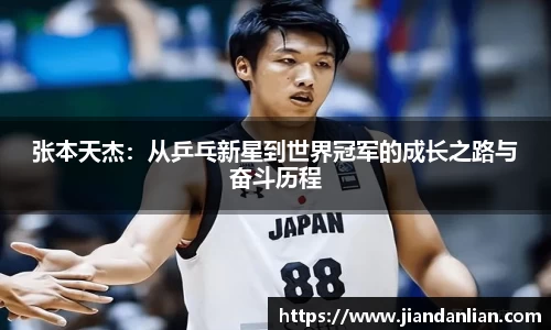 ky开元网址